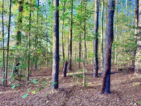 Interior of a mature pine and hardwood forest with a leaf-covered floor in autumn